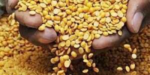 Natural Toor Dal