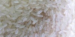 Raw Premium Sona Masoori Rice