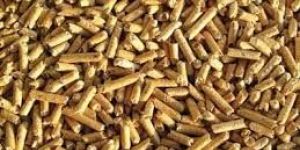 Biomass Fuel Pellet
