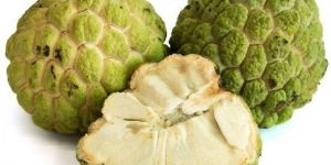 Fresh Custard Apple