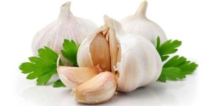 Fresh Garlic