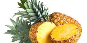 Fresh Pineapple