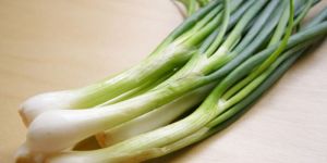 Fresh Spring Onion