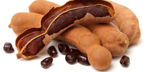 Fresh Tamarind
