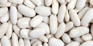 White Kidney Beans