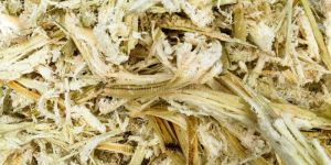 Sugarcane Bagasse