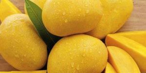 Organic Alphonso Mango