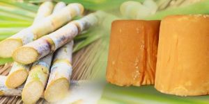 Indian Organic Jaggery