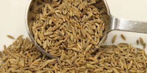 Cumin Seed