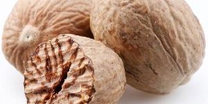 Nutmeg Seed