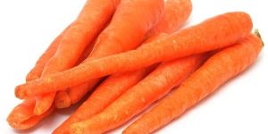 Organic Carrot
