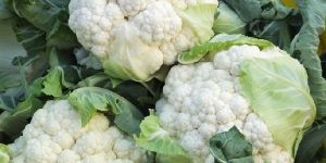 Organic Cauliflower