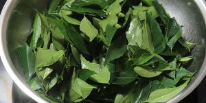 Curry Leaf Powder Mix