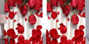 Door Eyelet Curtains