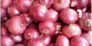 Onions