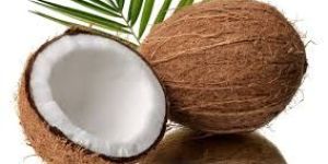Coconut