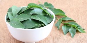 Green Curry Leaves