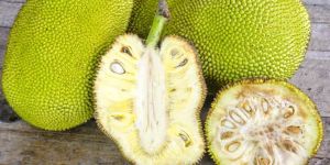 Fresh Jackfruit