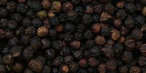 Premium Black Pepper