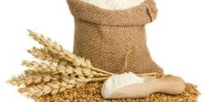 Organic Wheat Flour