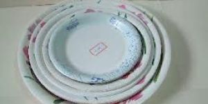 Paper Plates