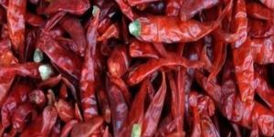 Dry Red Chilli