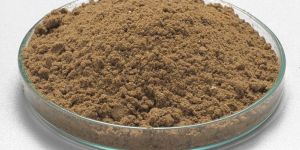 Fish Meal