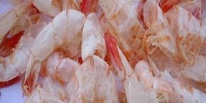 Soft Shell Shrimp
