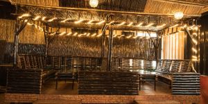 Bamboo Interiors and Exteriors