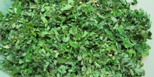 Moringa Dry Leaves