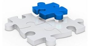 ERP Customization Service