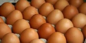 Brown Eggs