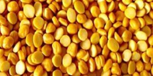 Gram Dal