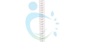 Trauma Orthopedic Screw