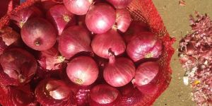 Red Onion