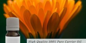 Calendula Oil