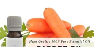 Carrot Essential Oil