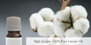 Cotton Seed Oil