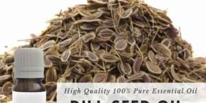 Dill Seed Essential Oil