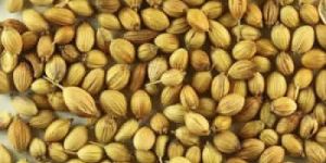 Coriander Seed