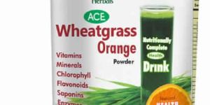 ACE Wheatgrass Orange