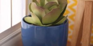 Ceramic Table Top Pot