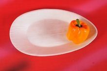 Areca Palm Leaf Plates