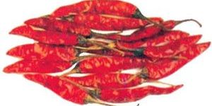 Dry Red Chilies