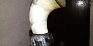 Drinking Horns