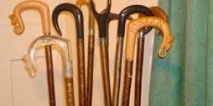 Horn Bone Walking Stick