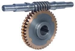 Worm Gear and Worm Shaft