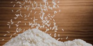 Non Basmati Rice