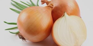 Fresh Yellow Onion