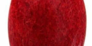Red Coral Gemstone